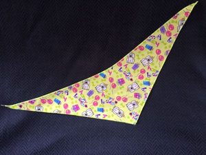 Happy birthday bandana - The Balanced Dog