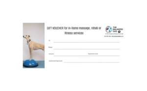 Products: Gift voucher - The Balanced Dog