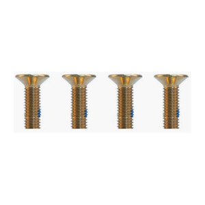 Wakefoil Components Parts: Liquid Force Foil 24mm Screws M8 - 4 Pack