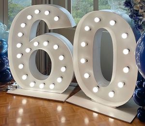 60 Light up number hire