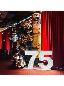 Light Up Number Hire: Giant 75 Light up number hire