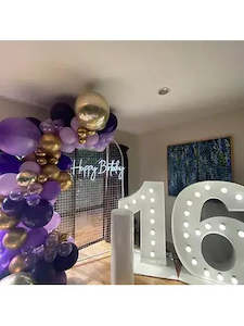 Light Up Number Hire: Arch mesh with balloons garland and light up numbers