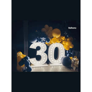 Light Up Number Hire: Giant 30 Light-Up Number Hire | 30th Birthday Auckland