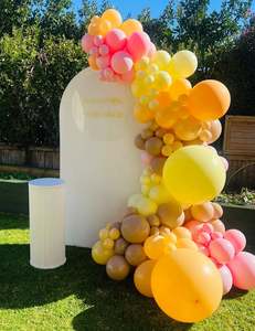 Rose, honey yellow and hazelnut balloon backdrop
