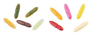 Lures: Trout Collector Larva Assortments