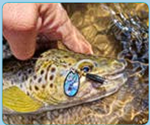 Fishing Lures: Colonel Classic Spinner - Mother of Pearl Series - Abalony / Paua SIlver