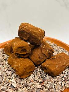 Organic 70% Dark Chocolate Truffles – Papua New Guinea Cocoa