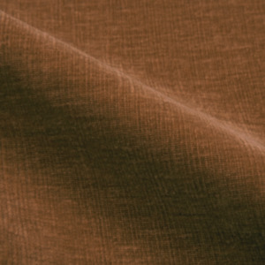 New Swatch Standard Range: Swatch - Polyester - Biscoff