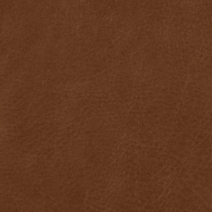 Swatch - Leather - Cognac