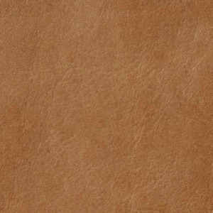 Swatches Leather 1: Swatch - Leather - Caramel