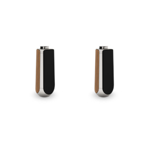 Specials: Beolab 50 (Ex-Demo 2 Years Warranty)