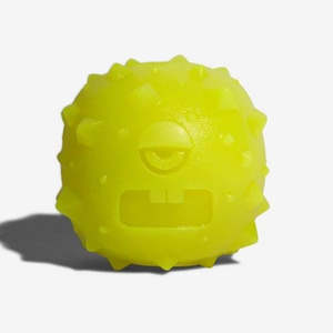 Zee.Dog Rob the Microbe