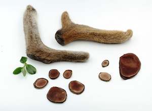 %E5%8F%82%E8%8C%B8%E6%B5%B7%E5%91%B3: 鹿嘴茸 A级 3g