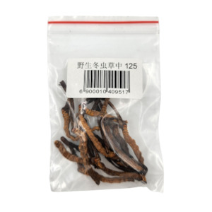 野生冬虫草-中