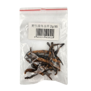 %E4%B8%AD%E8%8D%AF: 野生段冬虫草2g
