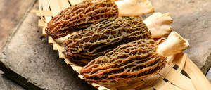 %E8%90%A5%E5%85%BB%E8%86%B3%E9%A3%9F: 羊肚菌 100g