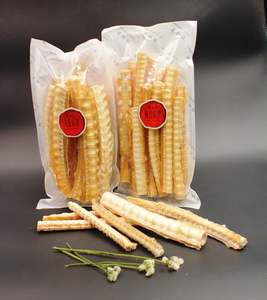 新西兰鲨鱼脊骨