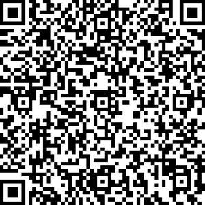 V Business Card (QR Code)