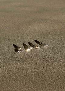 Posie Studs - Silver