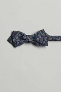 Mens Accessories: Parisian Paisley Bow Tie