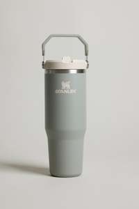 Stanley Classic: The IceFlow Flip Straw Tumbler 30oz