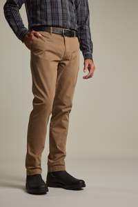 Carnaby Chino Pant