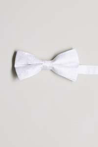 Kimmel Paisley Bow Tie