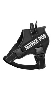 Personalised Dog Harness Barkley