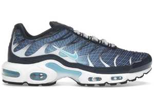 Us11: Nike Air Max Plus Dark Obsidian
