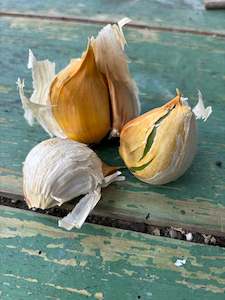 Current High Stock: Elephant Garlic
