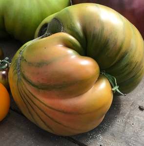 Fruit: Aunt Ruby’s German Green Tomato Seed