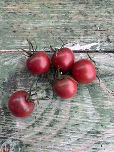Fruit: Noel’s Black Cherry Tomato Seed
