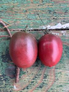 Fruit: Black Roma Heritage Tomato Seed