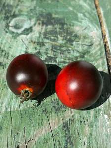 Current High Stock: Indigo Rose Tomato Seed