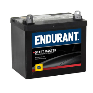 Endurant Lawnmower Battery 12n24/4hp