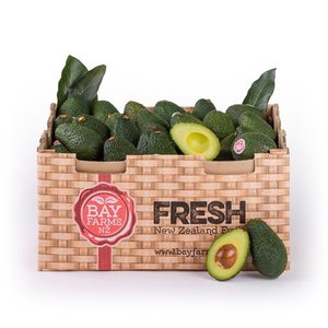 Box of 62 Small Avocados