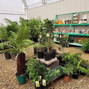Products: In-Store Bay Landscapes & Garden Centre