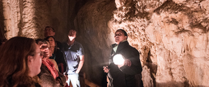 Products: Express Glow Worm Caves 2 Hour Tour