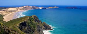 Products: Cape Reinga Express Tour