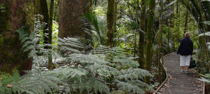 Products: Highlights Tour