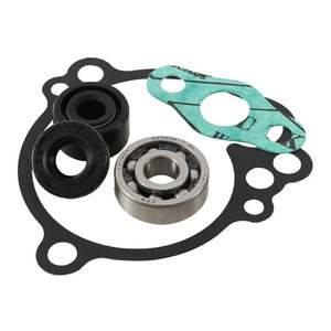 Engine: Water Pump Kit