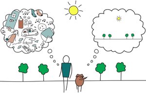 Products: What is Mindfulness?