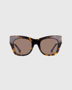 Sloane Tortoise