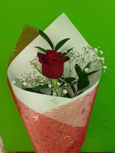 Valentines Day 14th February: Single Long Stem Rose/NZ Grown