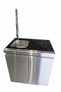 Promotions: Kitchen Storage & Sink Module