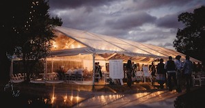 What We Can Offer You