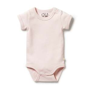 0 6 Month Gifts: Wilson & Frenchy - Organic Stripe Bodysuit - Cantaloupe