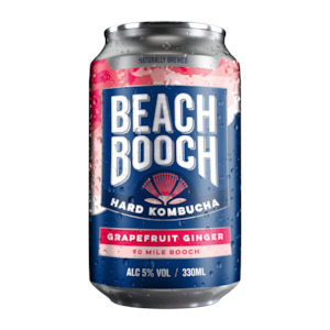 Alcoholic kombucha: 90 Mile Booch - packs