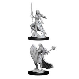 Female Elf Paladin Nolzur's Marvelous Unpainted Miniatures
