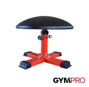 Training Aids: GymPro FIG Standard Height Adjustable Gymnastics Mushroom Trainer
